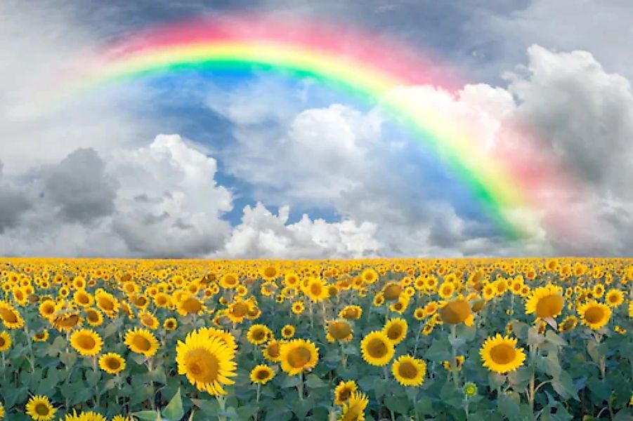 Papermoon Fototapete »Rainbow Sunflowers« günstig online kaufen