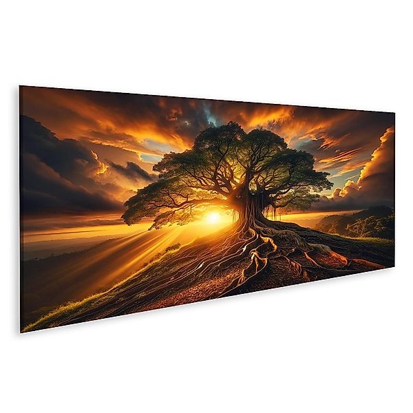 islandburner Leinwandbild Majestätischer Baum auf Hügel günstig online kaufen