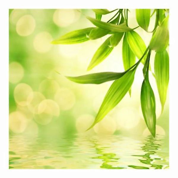 Bilderwelten Blumentapete Green Ambiance I grün Gr. 288 x 288 günstig online kaufen