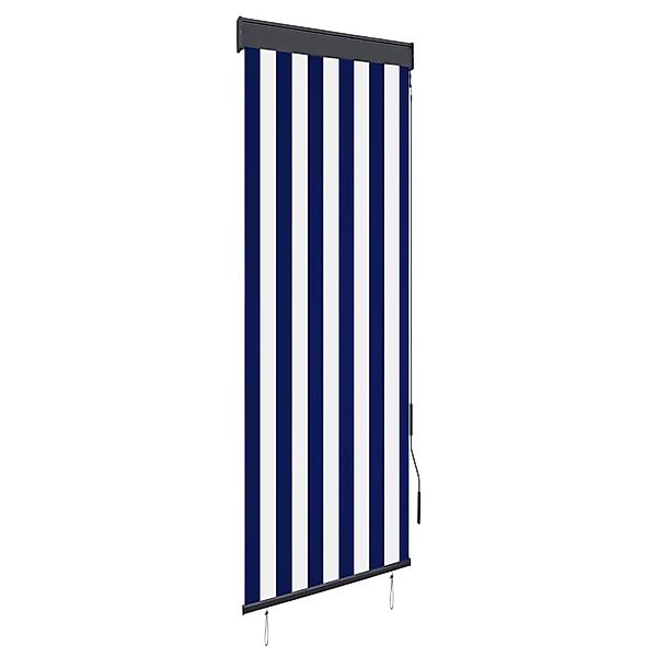 Rollo Außenrollo 60 x 250 cm günstig online kaufen