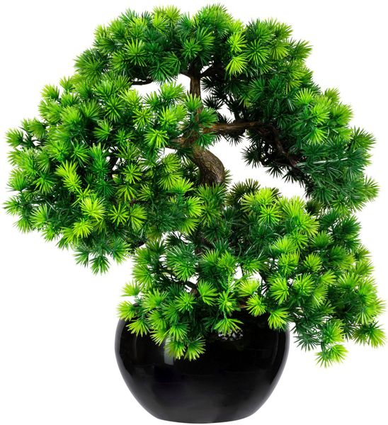 Creativ green Kunstbonsai "Bonsai Lärche" im Keramiktopf günstig online kaufen