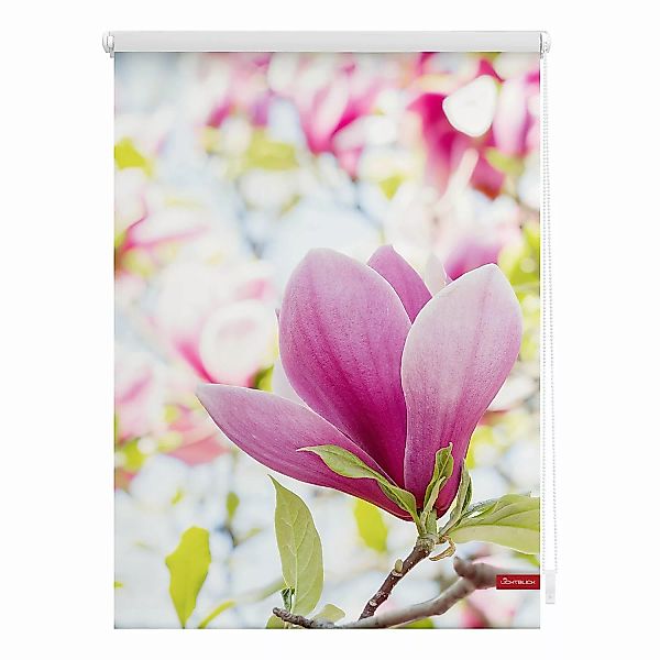 Rollo Magnolie rosa B/L: ca. 70x150 cm günstig online kaufen