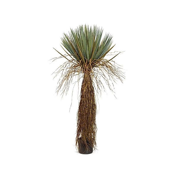 Yucca - Palmlilie Kunstpflanze, Höhe 164 cm günstig online kaufen