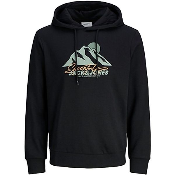 Jack & Jones  Pullover Kapuzenpullover SUN Hoodie günstig online kaufen