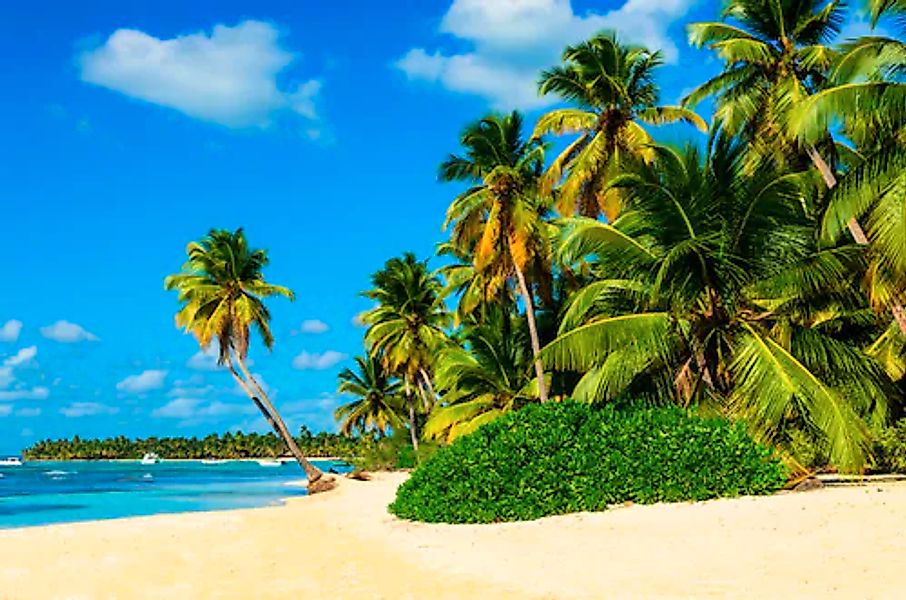 Papermoon Fototapete »Exotic Palm Beach« glatt günstig online kaufen