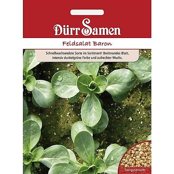 Dürr Samen Feldsalat Baron Saatgut günstig online kaufen