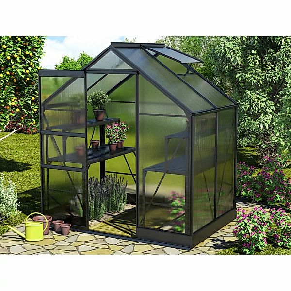 Vitavia Gewächshaus Apollo 2500 Schwarz 5 m² inkl. Fundament günstig online kaufen