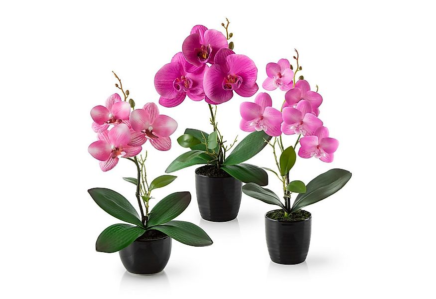 Kunstorchidee 3er Set künstliche Orchideen wie echt (35cm) in Hochglanz-Ker günstig online kaufen