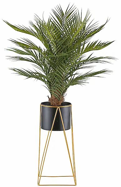 Creativ green Kunstpalme »Arecapalme«, mit Metallrack günstig online kaufen