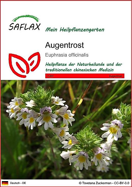 SAFLAX Blumensamen SAFLAX - Samen - Augentrost günstig online kaufen