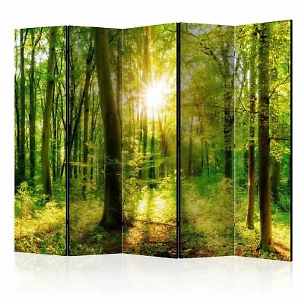 artgeist Paravent Forest Rays II [Room Dividers] mehrfarbig Gr. 225 x 172 günstig online kaufen
