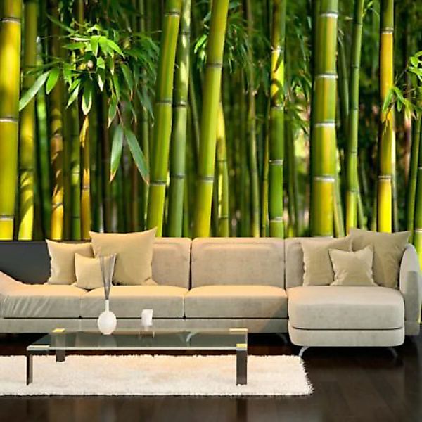 artgeist Fototapete Oriental Garden grün Gr. 300 x 210 günstig online kaufen