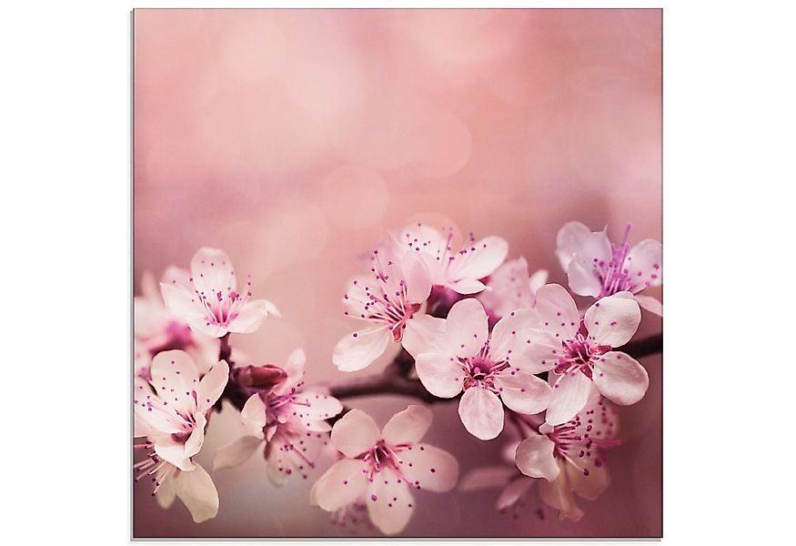 Artland Glasbild Kirschblüten, Blumen (1 St), in verschiedenen Größen günstig online kaufen