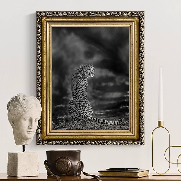 Gerahmtes Leinwandbild Gepard in der Wildness günstig online kaufen