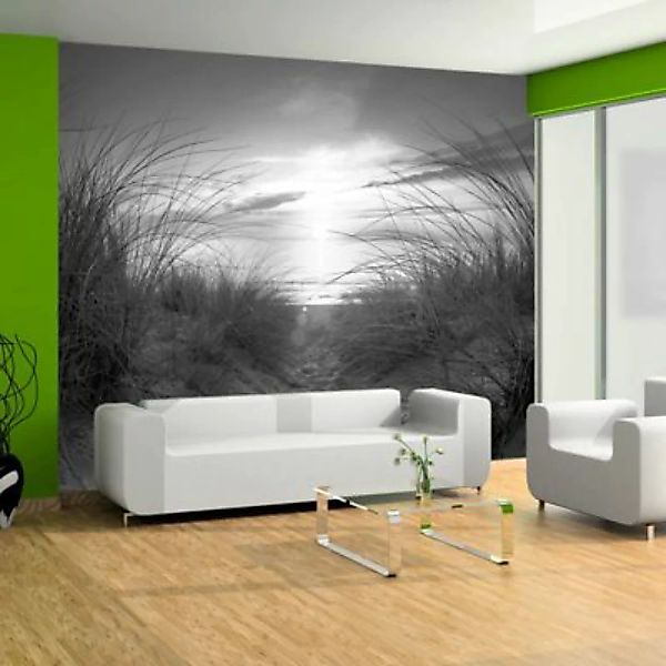artgeist Fototapete Strand (schwarz-weiß) schwarz/weiß Gr. 350 x 245 günstig online kaufen