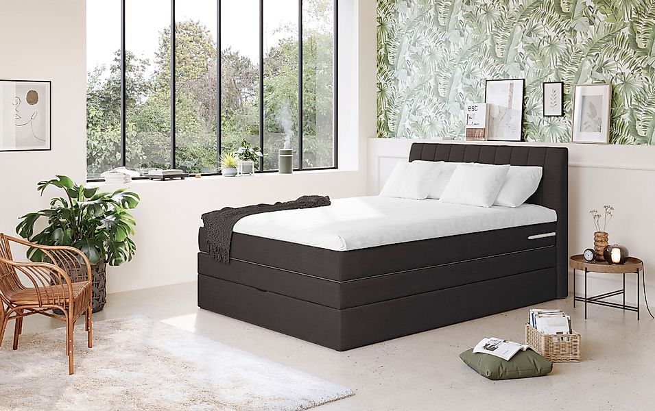 COTTA Boxspringbett »Shark inkl. Bettkasten und Topper« erhältlich in den B günstig online kaufen