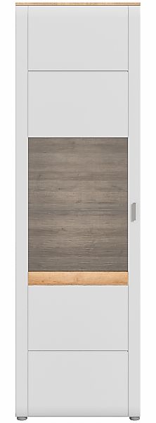 INOSIGN Standvitrine "Aska, Höhe 202cm, Metallgriff, 1 Glastür, 1 Glaseinle günstig online kaufen