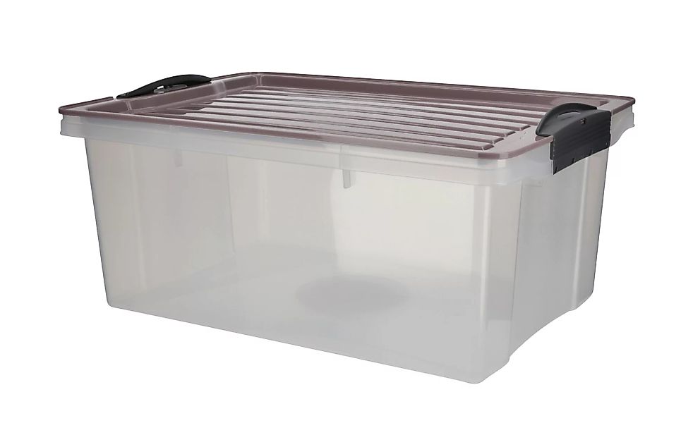 Rotho Aufbewahrungsbox mit Deckel - lila/violett - Kunststoff - 27,5 cm - 1 günstig online kaufen