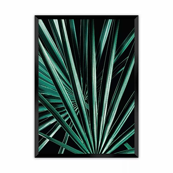 Poster Dark Palm Tree, 30 x 40 cm , Rahmen wählen: schwarz günstig online kaufen