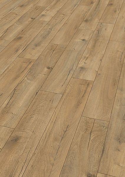 EGGER Laminat EHL143 Loja Eiche braun, (8mm, 1,995m),Praktisch & wertbestän günstig online kaufen