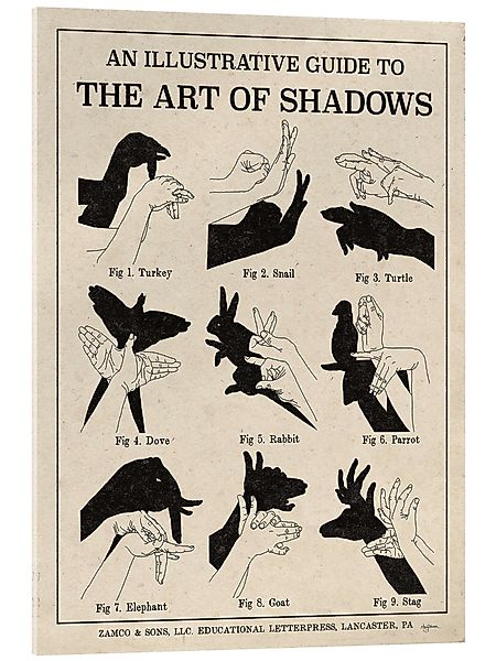 Posterlounge Wandbild Die Kunst der Schattenspiele günstig online kaufen
