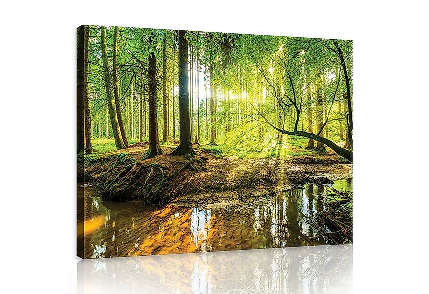 Wallarena Leinwandbild Wald Sonne Natur Grün Wandbild Groß Wandbilder Leinw günstig online kaufen