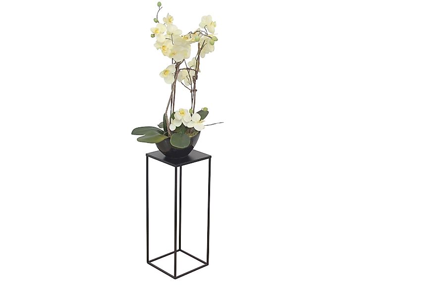 moebel-direkt-online Blumentisch Iris (In drei Farben günstig online kaufen