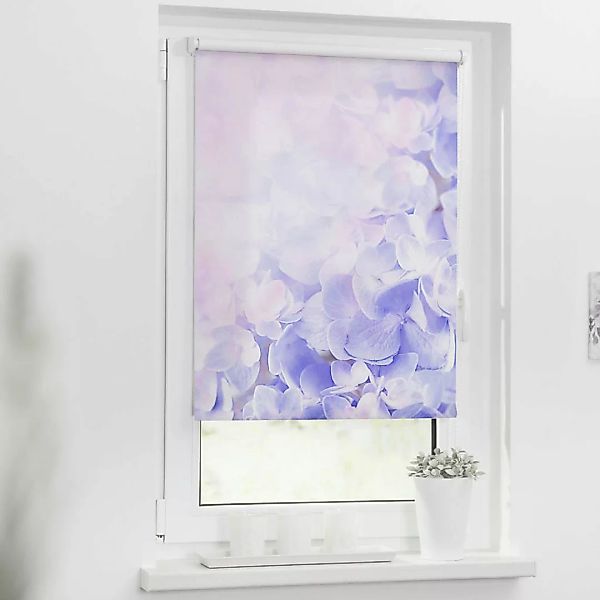 Verdunkelungsrollo Hortensie lila B/L: ca. 70x150 cm günstig online kaufen