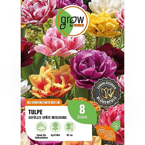 GROW by OBI Tulpen Gefüllte späte Mischung 8 Stück Tulipa double late Mixed günstig online kaufen