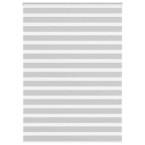 vidaXL Doppelrollo Hellgrau 160x200 cm Stoffbreite 155,9 cm Polyester 40144 günstig online kaufen