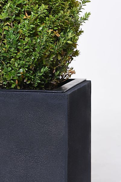 VIVANNO Pflanzkübel Fiberglas MAXI Kasten - günstig online kaufen