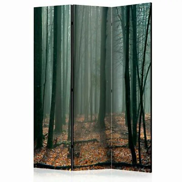 artgeist Paravent Witches' forest [Room Dividers] grün-kombi Gr. 135 x 172 günstig online kaufen