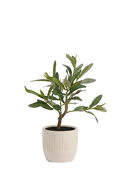 Kunstbaum Kleiner, künstlicher Olivenbaum, Next günstig online kaufen