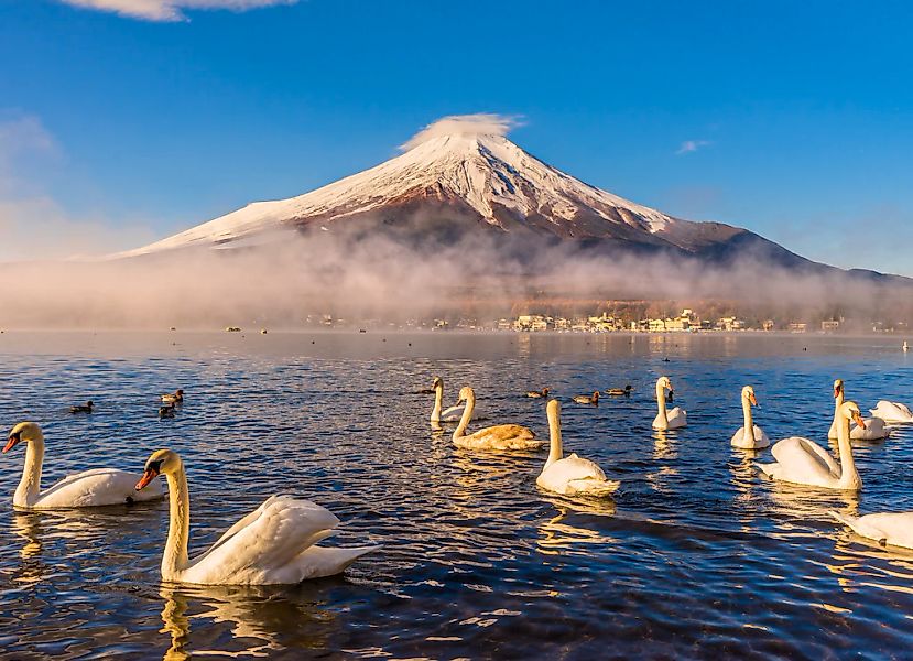 Papermoon Fototapete "Mount Fuji" glatt günstig online kaufen