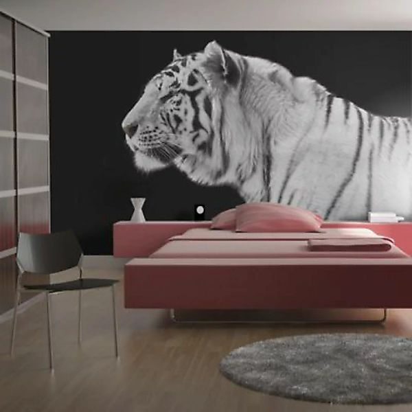 artgeist Fototapete Weißer Tiger schwarz/weiß Gr. 200 x 154 günstig online kaufen