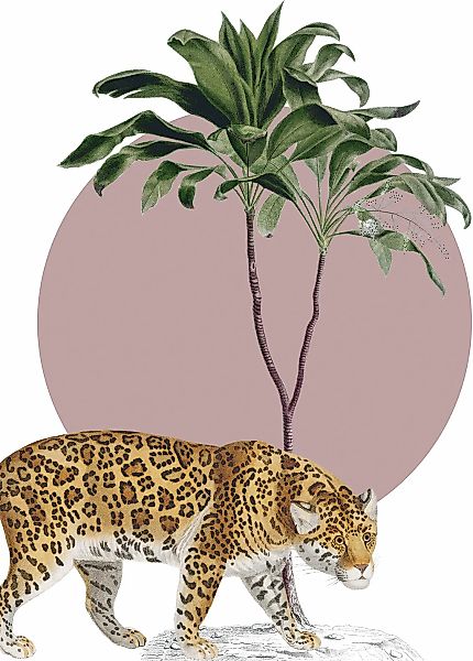 Komar Bild "Botanical Garden Jaguar" Natur 1 Stk. tlg. Wandbild zur Dekorat günstig online kaufen