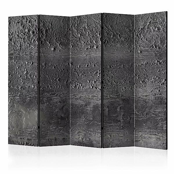 5-teiliges Paravent - Grey Storm Ii [room Dividers] günstig online kaufen