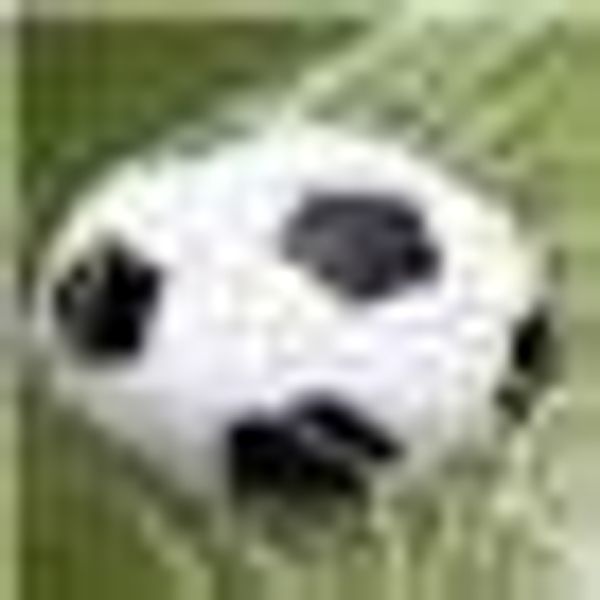 Herding Young Collection Wendebettwäsche "Fußball" 2 Stk. tlg. mit Ball im günstig online kaufen