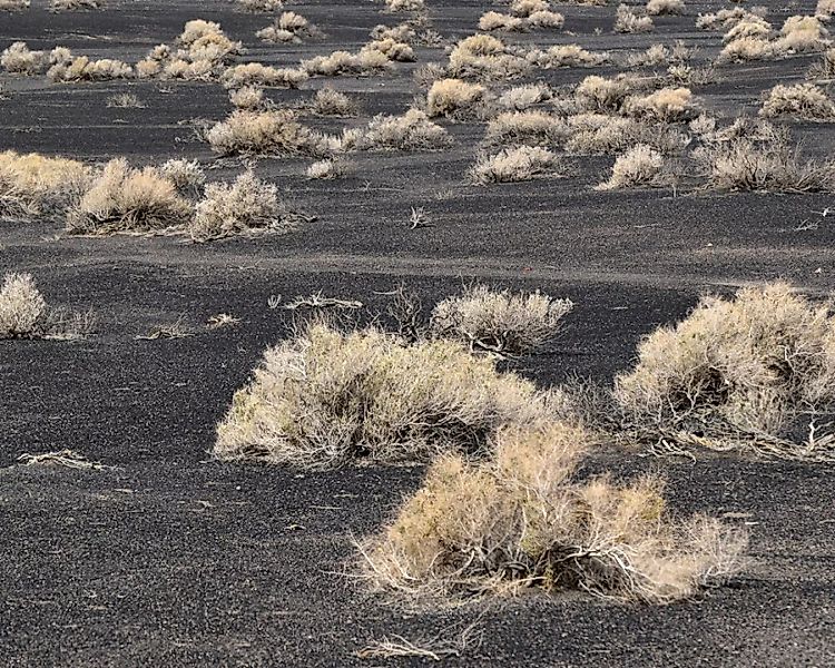 Fototapete "Dry Landscape" 4,00x2,50 m / Glattvlies Perlmutt günstig online kaufen
