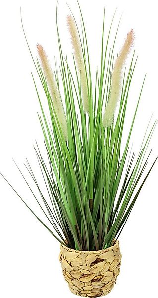Kunstpflanze Gras Fuchsschwanzgras, I.GE.A., Höhe 52 cm günstig online kaufen