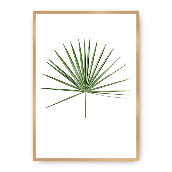 Poster Tropical Leaf Green, 21 x 30 cm, Rahmen wählen: gold günstig online kaufen