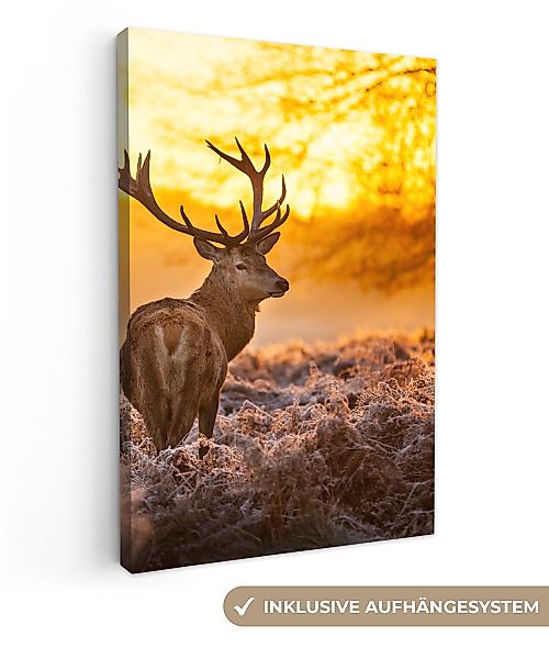 OneMillionCanvasses® Leinwandbild Hirsche - Tiere - günstig online kaufen