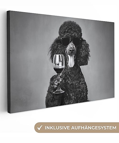 OneMillionCanvasses® Leinwandbild Hund - Locken - günstig online kaufen
