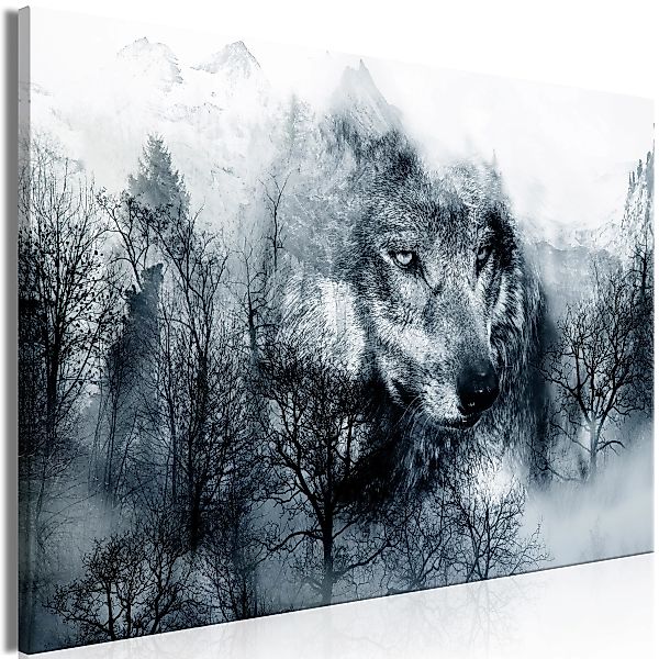 Wandbild - Mountain Predator (1 Part) Wide Black And White günstig online kaufen