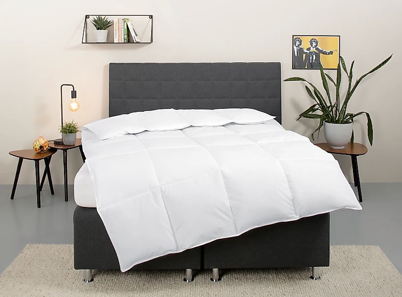 OTTO home Daunenbettdecke "Cyra, Bettdecke 135x200 cm, 155x220 cm" extrawar günstig online kaufen