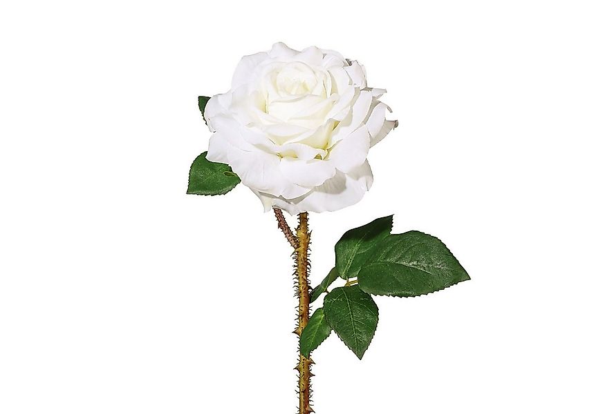 Kunstblume Kunstblume, Seidenblume, ROSE. Ca 60cm. Rosen 1 Stück., Gasper, günstig online kaufen