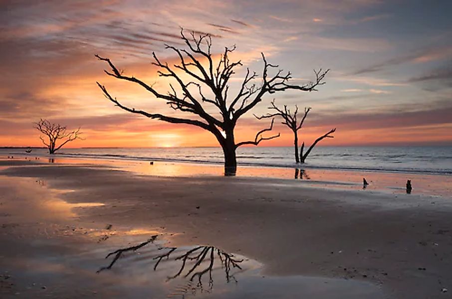 Papermoon Fototapete »Bäume an Strand« günstig online kaufen