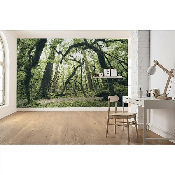KOMAR Vlies Fototapete - Ancient Green  - Größe 450 x 280 cm mehrfarbig günstig online kaufen