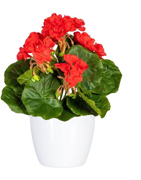 Home affaire Kunstpflanze "Havel" im Topf, 2er Set günstig online kaufen