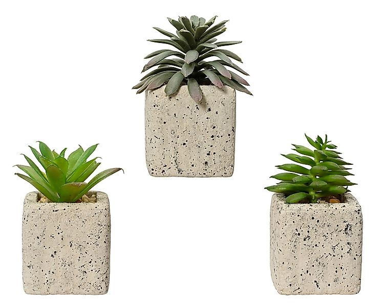 Künstliche Zimmerpflanze, Decoris season decorations, Sukkulenten Kunstpfla günstig online kaufen
